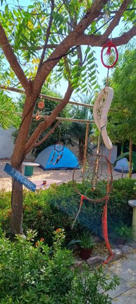 Canoa Roots Camping